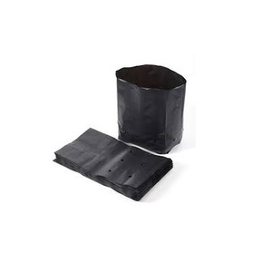 Wholesale black plastic plant bag to Grow Seeds for Starting to Pro  Planters 