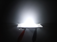 Éclairage de plaque d'immatriculation LED pour BMW E46 Coupé 2 portes OE 51138236269 Sans erreur 12V Blanc Lampe de plaque d'immatriculation Pièces de rechange auto
