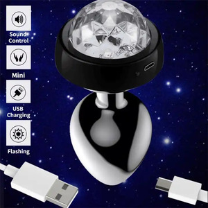 SacKnove Nouveau Jeu Sex Toys Commande Vocale LED Flash Usb Érotique Sm Butt Insert Femmes Vaginal Gay Hommes Anus Métal Lumière Anal Plug - Product Image 5