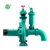 Pompe électrique d'irrigation 3 pouces à double tête haute performance à quatre roulements, à pression manuelle, disponible en OEM direct usine