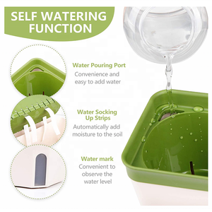 All House Herbs succulente <span class=keywords><strong>fioriera</strong></span> autoirrigante scatola finestra rettangolare per <span class=keywords><strong>piante</strong></span> <span class=keywords><strong>da</strong></span> interno giardino di casa vaso di fiori decorativo moderno - Product Image 5