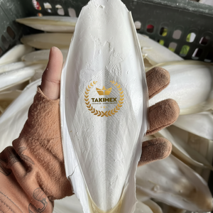 Os de seiche séché de haute qualité Sepium pour oiseaux - Product Image 1