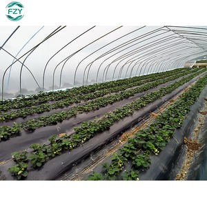 Fournitures cadre en métal chinois style tropical <span class=keywords><strong>fraise</strong></span> pommes de terre arrière-cour industrielle à faible coût tunnel vente baie serre - Product Image 5