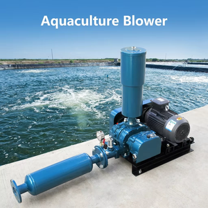 Souffleur à lobes triples 3Hp 5Hp 10Hp pour aération industrielle – Meilleur prix pour fermes piscicoles et crevettières - Product Image 6