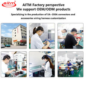 Connecteur d'alimentation à trois pôles AITM <span class=keywords><strong>SH</strong></span> 50A-3 pour chargeur de batterie solaire MPPT DCDC 12V 24V Connecteur 3 broches - Product Image 6