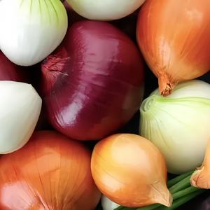 2025 Nieuwe Oogst Chinese Ui Verse Holle Gele Ui 5-8Cm In Gaaszakken (De Goedkoopste) Holle Nederlandse Uien - Product Image 6