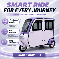 Tricycle électrique 800W à frein à tambour pour passagers, haute performance, vente chaude
