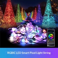 Guirlandes lumineuses décoratives de Noël intelligentes à LED à pixels changeants de couleur, étanches IP67, DC 24V, télécommandées, pour les avant-toits et les cours