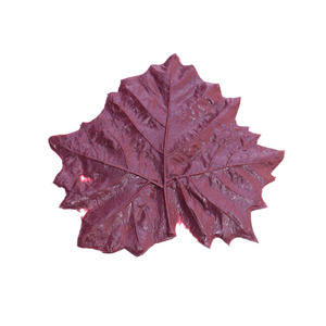 Moldes de Goma para Estampado, Sellos de Concreto para Caminos de Parque, Varios Estilos de Moldes para Estampado - Product Image 5