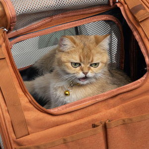 Spot <b>Cat</b> Bag Expandable Breathable Portable Big Space <b>Cat</b> <b>Backpack</b> Space Cabin Pet <b>Backpack</b> - Product Image 4