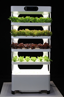 Petite jardinière d'intérieur pour jardin, kit de culture hydroponique pour serre avec lumière de culture à led intelligente, système de culture hydroponique vertical