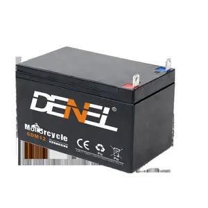 Denel 3000W 6DM12 12V12AH Start Batterij Generator Batterij