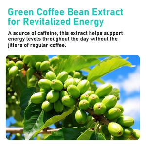 Wholesale Price Green Coffee Bean Extract Capsules with 50% Chlorogenic Acids Helps Reduce Belly Fat Natural Antioxidant - Product Image 4