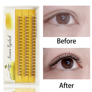 Natural 10D <strong>Mink</strong> <strong>Eyelash</strong> <strong>Extensions</strong> 1 Box/60 Bundles Natural 3D Russia Individual Cluster <strong>Eyelash</strong> Makeup Tools Wholesale Cilia - Product Image 2