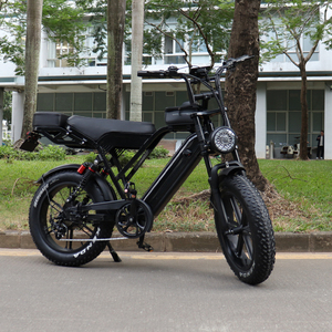Bicicleta Eléctrica X50 con Llantas Gruesas de 20 Pulgadas, Motor Trasero de 250W, 7 Velocidades, Cuadro de Aluminio, Bicicleta Eléctrica Urbana para Grava y Senderos - Product Image 5