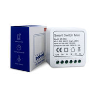 Mini interrupteurs intelligents Wifi DIY 10A/16A pour produits domotiques, automatisation intelligente, module universel DIY avec application EWelink