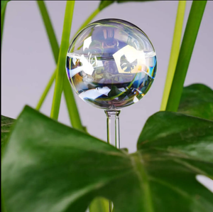Sistema <span class=keywords><strong>de</strong></span> autorriego <span class=keywords><strong>de</strong></span> vidrio transparente con degradado <span class=keywords><strong>de</strong></span> arcoíris iridiscente, bombillas automáticas para bebedero <span class=keywords><strong>de</strong></span> <span class=keywords><strong>plantas</strong></span>, latas <span class=keywords><strong>de</strong></span> agua <span class=keywords><strong>de</strong></span> Color claro - Product Image 4