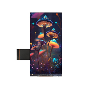 Tsd 5 inch độ phân giải cao TFT <span class=keywords><strong>LCD</strong></span> loại dọc thiết bị cầm tay - Product Image 2