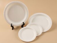 Vente en gros d'ensemble de gobelets et d'assiettes jetables de 12 oz, vaisselle blanche épaissie à paroi unique pour pique-nique et desserts