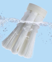 STARWELL SWLXK102-2000 de qualité supérieure PVDF 0.01 microns Ultrafiltration cartouche de filtre à eau bloc de carbone garantie de 2 ans
