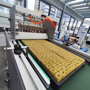 Tự động Rau seeder hạt giống gieo máy dòng cho cây giống khay lúa hạt giống Vườn Ươm gieo Máy gạo cây giống máy - Product Image 5