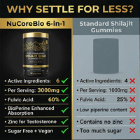 Gouden Kwaliteit Himalaya Shilajit 100% Zuivere Natuurlijke Shilajit Harsen Individueel Verpakt OEM Energie Uithoudingsvermogen Wellness Blend Sticks