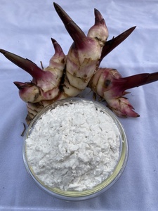 Almidón de arrowroot de la mejor calidad, harina en polvo blanco, tipo nativo de Vietnam. - Product Image 3