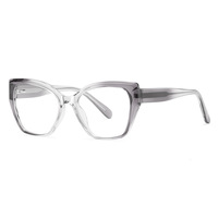 TYSD-LS008 Nouvelles Lunettes Optiques Œil de Chat TR+CP Populaires en Stock Prêt à l'emploi Montures Unisexe Anti-lumière Bleue Durables avec Étui pour Extérieur