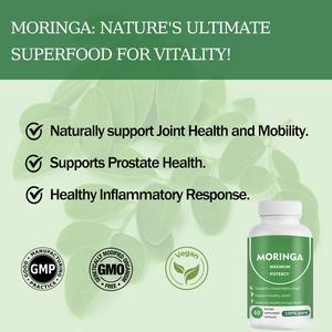Capsules de Moringa Bio OEM 800mg, poudre de feuilles de Moringa pure, origine unique, pour l'énergie, le métabolisme et le soutien immunitaire - Product Image 3