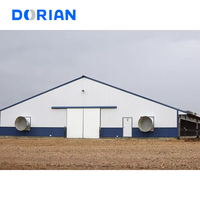 Bâtiment d'élevage de volailles à structure en acier multi-étages pour poulets de chair à vendre