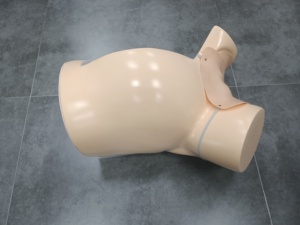 Modèle de cours de livraison pour l'enseignement médical - Product Image 2