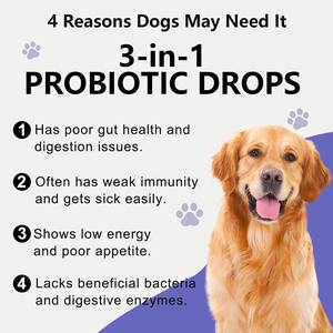 Ekspor Lintas Batas Tetes Probiotik 3-in-1 Mendukung Kesehatan Anjing Secara Keseluruhan Meningkatkan Imunitas dan Kesehatan <span class=keywords><strong>Digital</strong></span> - Product Image 5