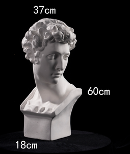 <span class=keywords><strong>Buste</strong></span> de David HUIXISHI en plâtre, sculpture modèle SG, gypse blanc de haute qualité, pour étudiants en art, dessin, peinture, examen, logo personnalisé - Product Image 6