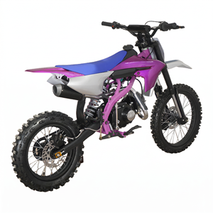 Moto tout-terrain MAXSPEED avec embrayage manuel, moteur 4 temps refroidi par air, démarrage, freins à disque hydrauliques doubles, 61-80 km/h, équipée d'un - Product Image 6