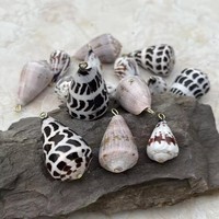 Coquillages coniques hébraïques naturels Conus Ebraeus, pendentif en acier inoxydable, breloques pour bijoux DIY, boucles d'oreilles Hawaï