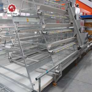 Jaula Automatizada para Gallinas Ponedoras de Alta Calidad para Granjas Avícolas - Product Image 5