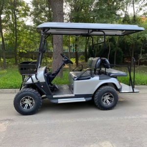 Nuevo carrito de golf eléctrico de cuatro ruedas 2025, coche de turismo eléctrico equipado con Coche club refrigerador certificado EEC/CE - Product Image 3