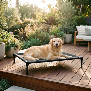 Lit pour chien surélevé robuste et pliable avec cadre en acier inoxydable, respirant en maille, pour intérieur et extérieur, portable et rafraîchissant - Product Image 1