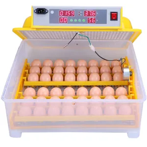 Incubadora de huevos de gallina, temperatura de incubación de 48 huevos