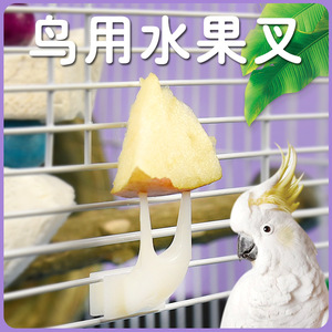 <b>Bird</b> <b>Feeder</b> Plastic Rectangle Reusable Fruit Fork For Budgie Cockatiel Parrot Small <b>Large</b> Size <b>Bird</b> Supplies - Product Image 2