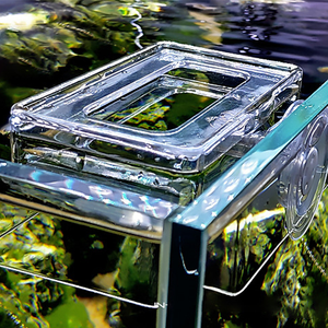 Anneau acrylique pour alimentation à point fixe Mangeoire anti-dérive pour poisson d'ornement et tortue Accessoire d'aquarium alimentaire - Product Image 4