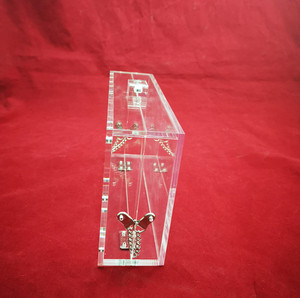 Boîte cadeau en acrylique transparent avec couvercle à charnière, boîte cadeau transparente certifiée SGS, taille personnalisable, marque Ecanlon, OEM/ODM disponible, MOQ <span class=keywords><strong>300</strong></span> - Product Image 3
