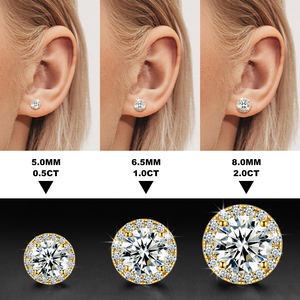 USA Warehouse Fijne Sieraden Witgoud 925 Sterling Zilver VVS Moissanite Diamant Halo Oorknopjes voor Heren en Dames - Product Image 5