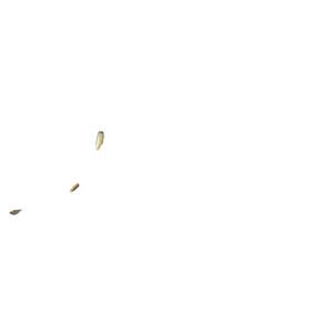 Reloj Mecánico de Diseño de Lujo para Hombre, Nuevo Modelo 2025, de Alta Calidad, a la Moda y en Oferta - Product Image 4