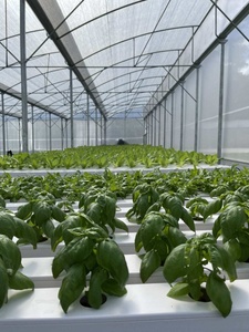 PVC Gutter per Aquaponics Sistemi di Coltivazione Verticale Agricoltura Giardino Serre Ristorante Negozio di Alimentari Fornito Hotel - Product Image 5