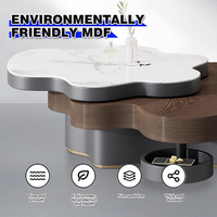 Table basse en forme de nuage en placage de noyer design haut de gamme BN-2520 rotative de salon en pierre microcristalline