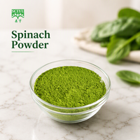 Poudre de jus de spaghettis verts de qualité alimentaire, complément alimentaire 100 % soluble dans l'eau, usine avec 14 ans d'expérience, 10:1, soluble dans l'eau, compléments alimentaires