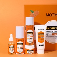 Ensembles de Soins Anti-Âge au Curcuma Biologique Formule Coréenne Marque Blanche pour la Beauté Herbale
