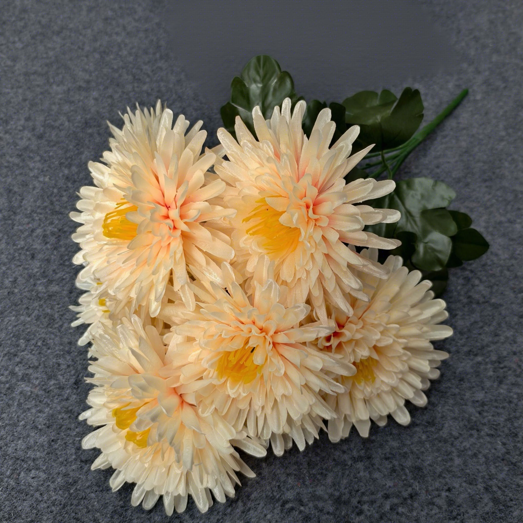 Chrysanthème à aiguilles de champagne