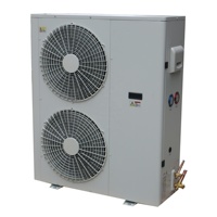 Unidad de Condensación de Aire Acondicionado Industrial Monofásica de Doble Ventilador para Compresor Scroll Motorizado para Refrigeración